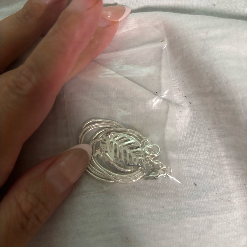 Elegant Silver Necklace